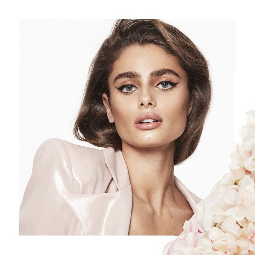 taylor hill