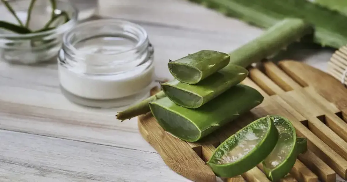 Aloe Vera'nn Faydalar: Aloe Vera ile Sa ve Cilt Bakm...
