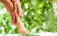 Ayak Maskesi ve Ayak Peeling’i Nasıl Yapılır?