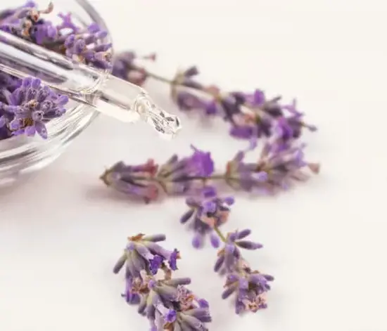 Lavanta Yağı Faydaları