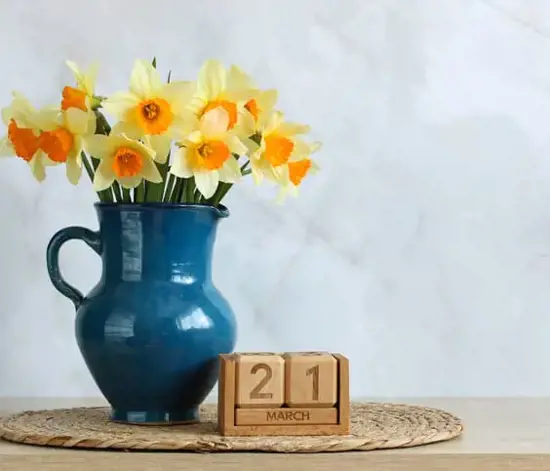 21 Mart Ekinoksu Nedir? Özellikleri Nelerdir?