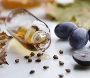 Üzüm Çekirdeği Yağı Hakkında Bilmen Gereken Her Şey!