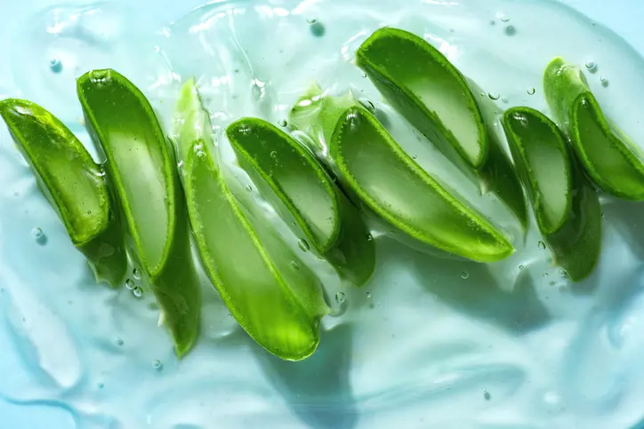 Aloe Vera