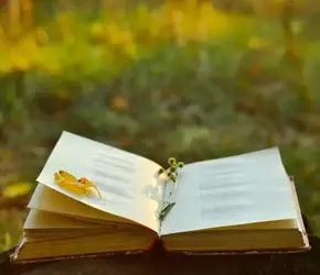 21 Mart Dünya Şiir Günü