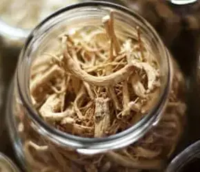Yaşlanma Karşıtı Mucize Ginseng Nedir?