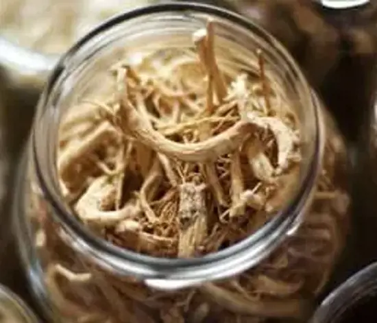 Yaşlanma Karşıtı Mucize Ginseng Nedir?