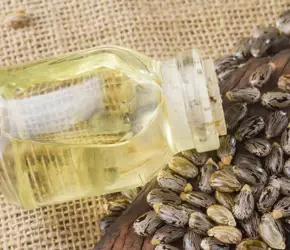 Hint Yağı Nedir? Ne İşe Yarar?