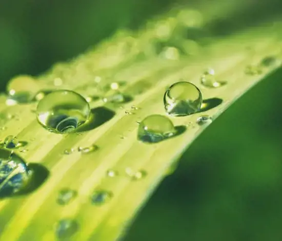 5 Haziran Dünya Çevre Günü