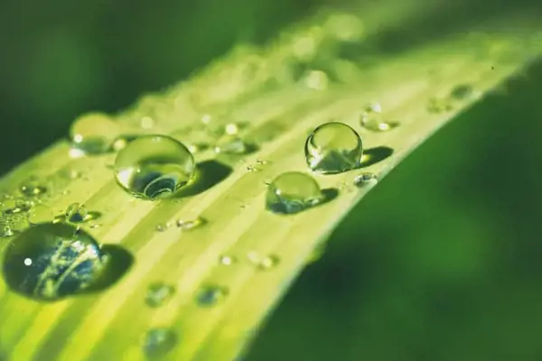 5 Haziran Dünya Çevre Günü