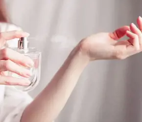 Şipre (Chypre) Kokular