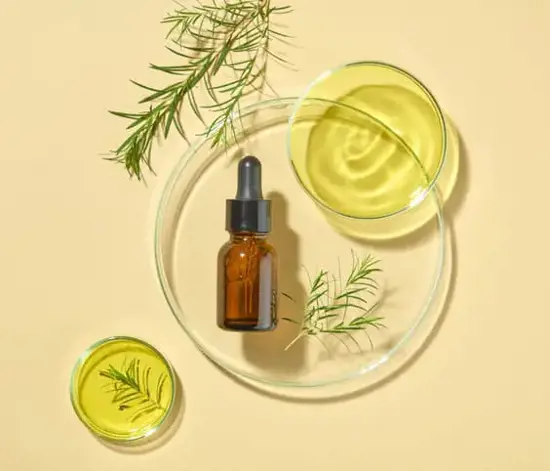 Çay Ağacı Yağı Nedir? Faydaları Nelerdir?