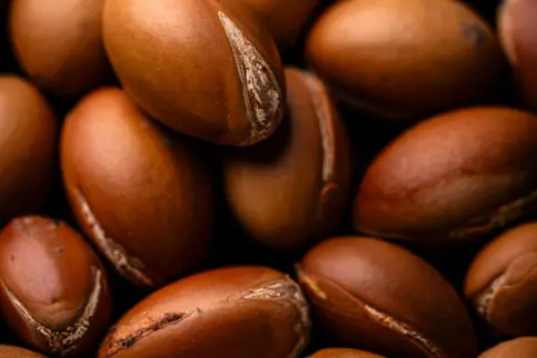 Argan Yağı