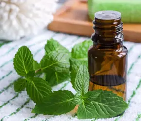 Nane Yağı Nedir? Nane Yağı Ne İşe Yarar?