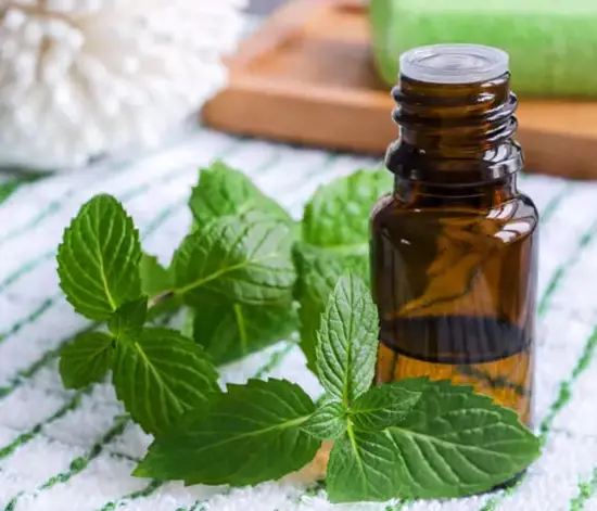 Nane Yağı Nedir? Nane Yağı Ne İşe Yarar?