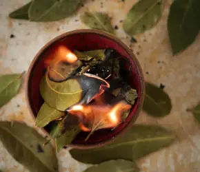 Defne Yaprağı Ritüeli Nedir ve Nasıl Yapılır?