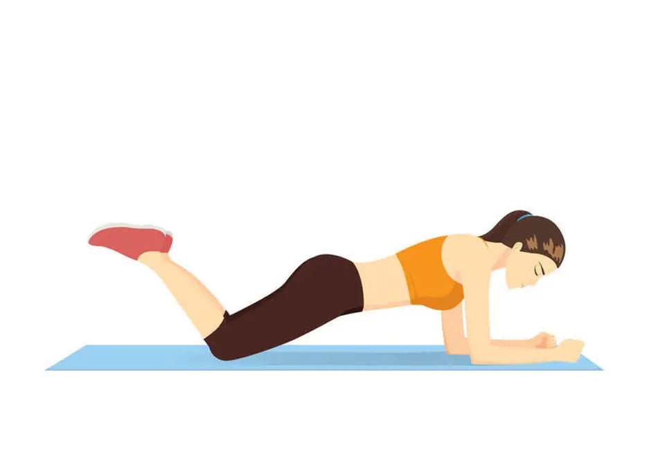2. Diz üstü plank