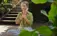 Odaklanma Meditasyonu Nedir ve Nasıl Yapılır?