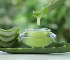 Evde Yapılabilecek Aloe Vera Maskesi Tarifleri