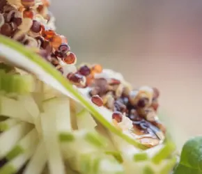 Kinoa Nasıl Kullanılır? Zayıflatır Mı?